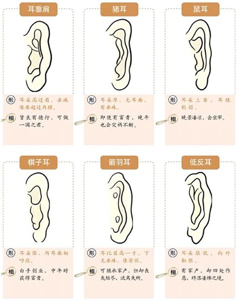 面相 耳垂|面相耳朵图解【最详细版】 – 杨易德全集官网